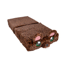 Load image into Gallery viewer, Flat Bear Pillow Cubs